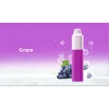 CE Approbation Fruit saveur Coolplay 600 Puff Vape